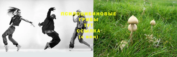 стаф Арсеньев