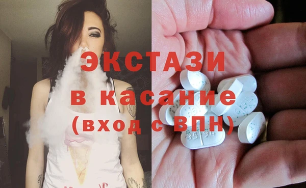 стаф Арсеньев