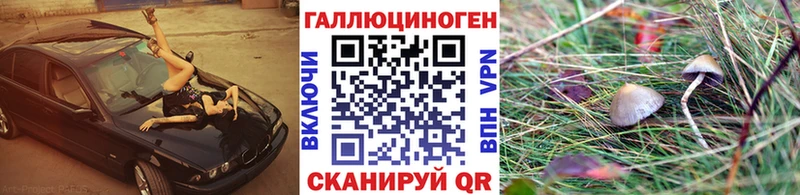 Псилоцибиновые грибы ЛСД  MEGA как войти  Балей  это состав  где купить наркотик 
